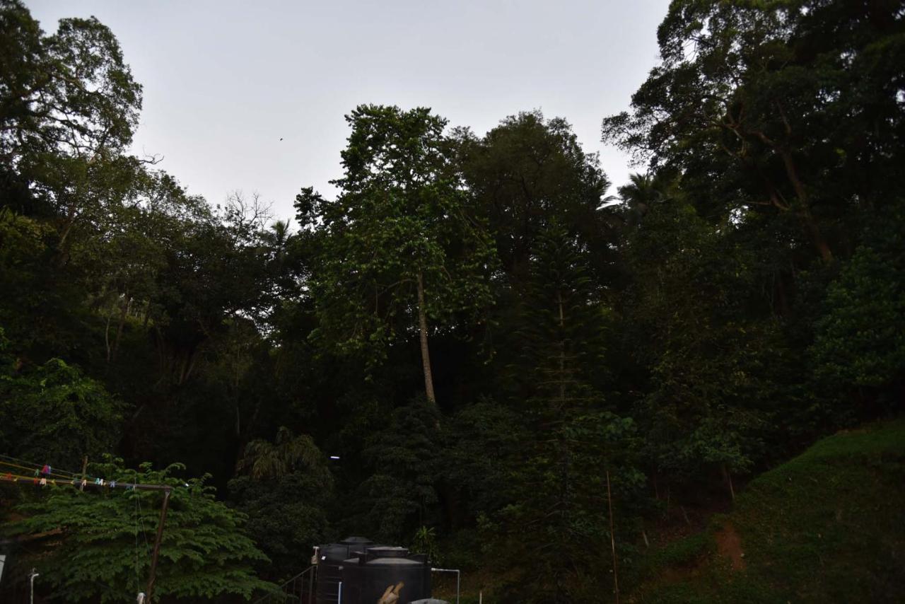 Lodge In 611 Kandy Zewnętrze zdjęcie